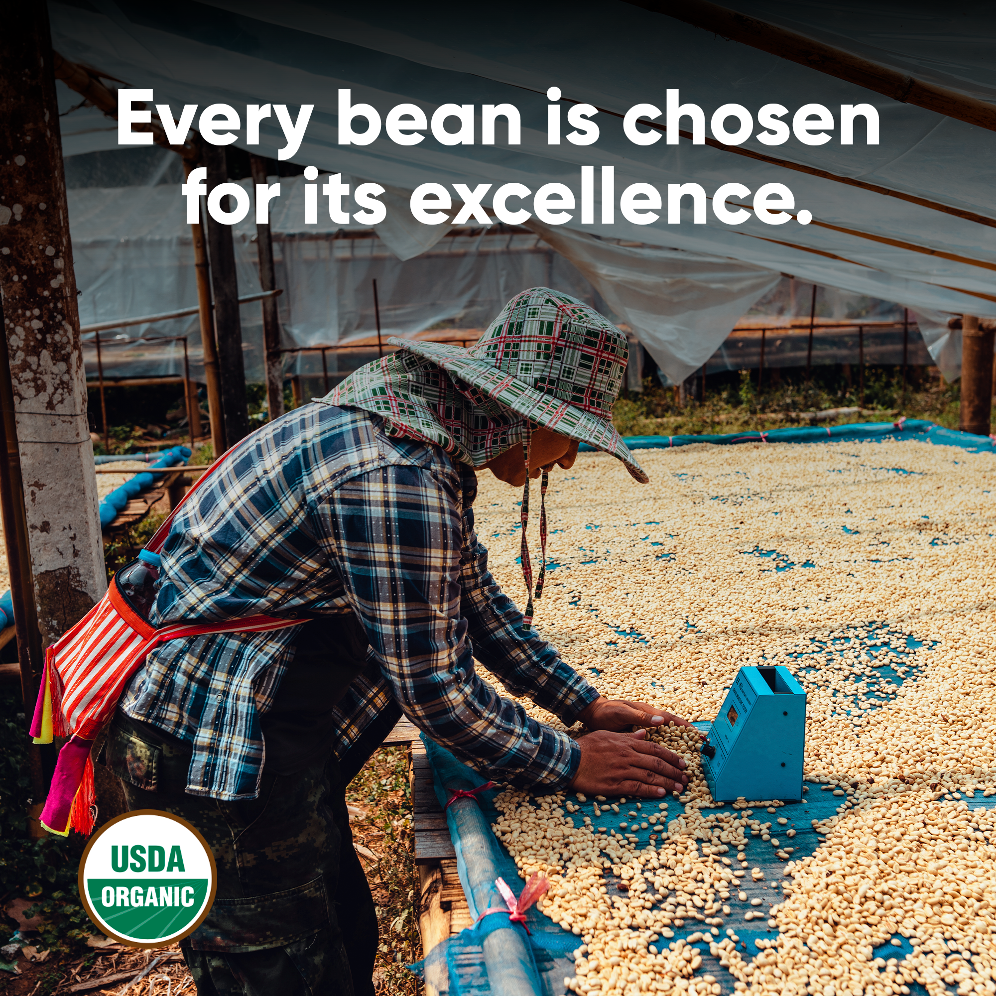 Smart Coffee - Your Daily Ritual for Peak Performance